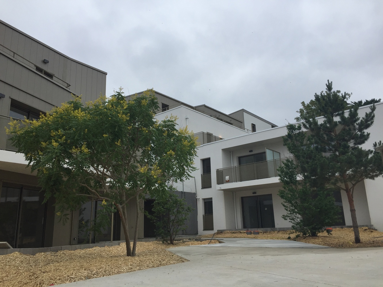 Property view