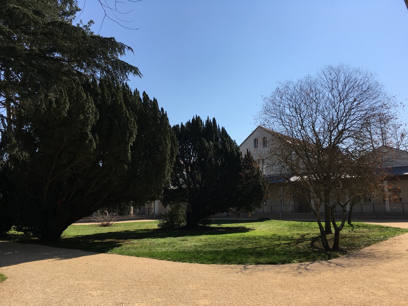 Property view 5