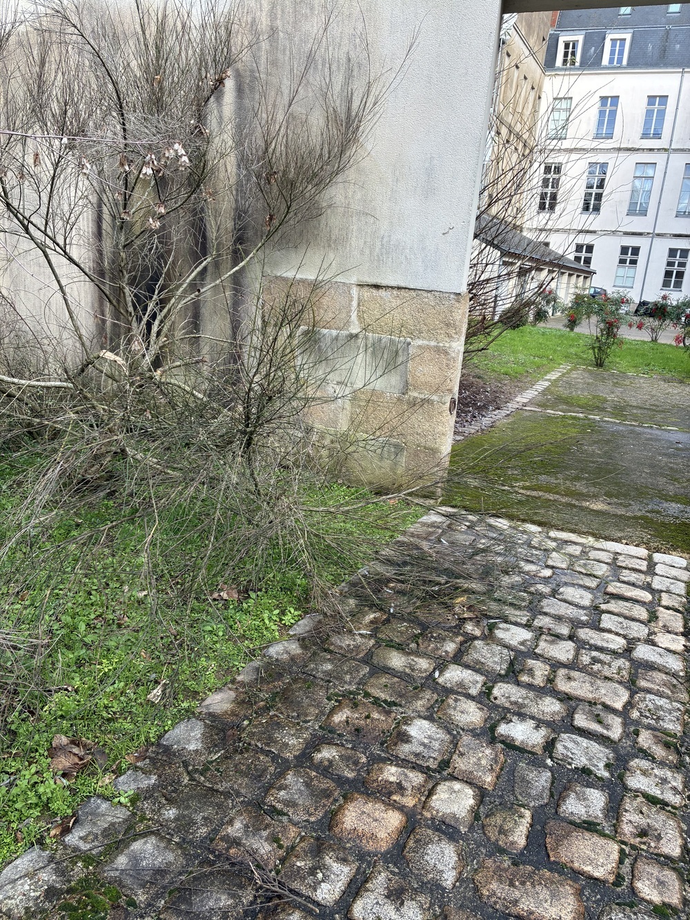 Property view 2