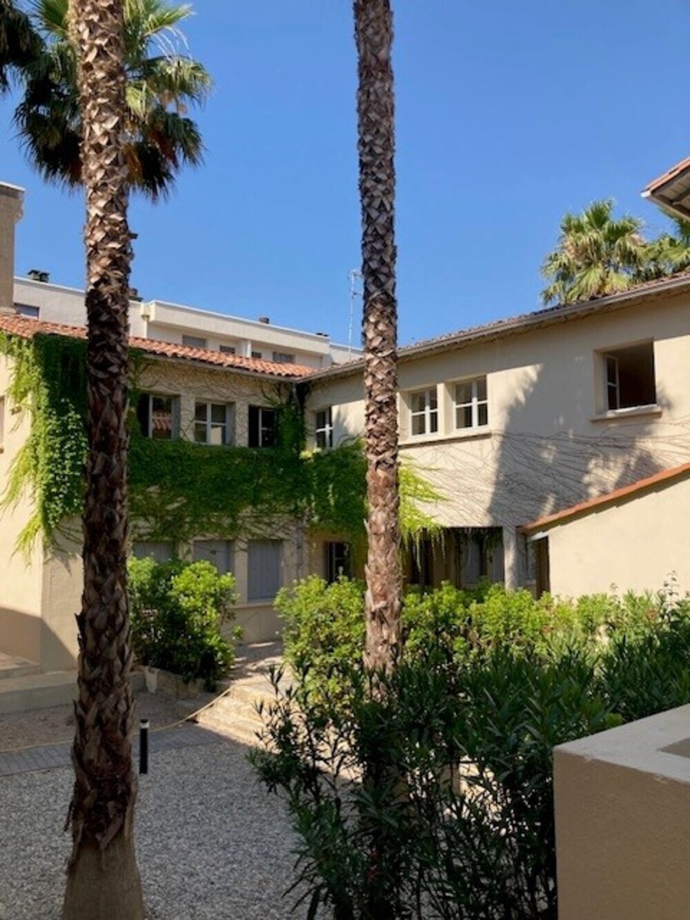 Property view