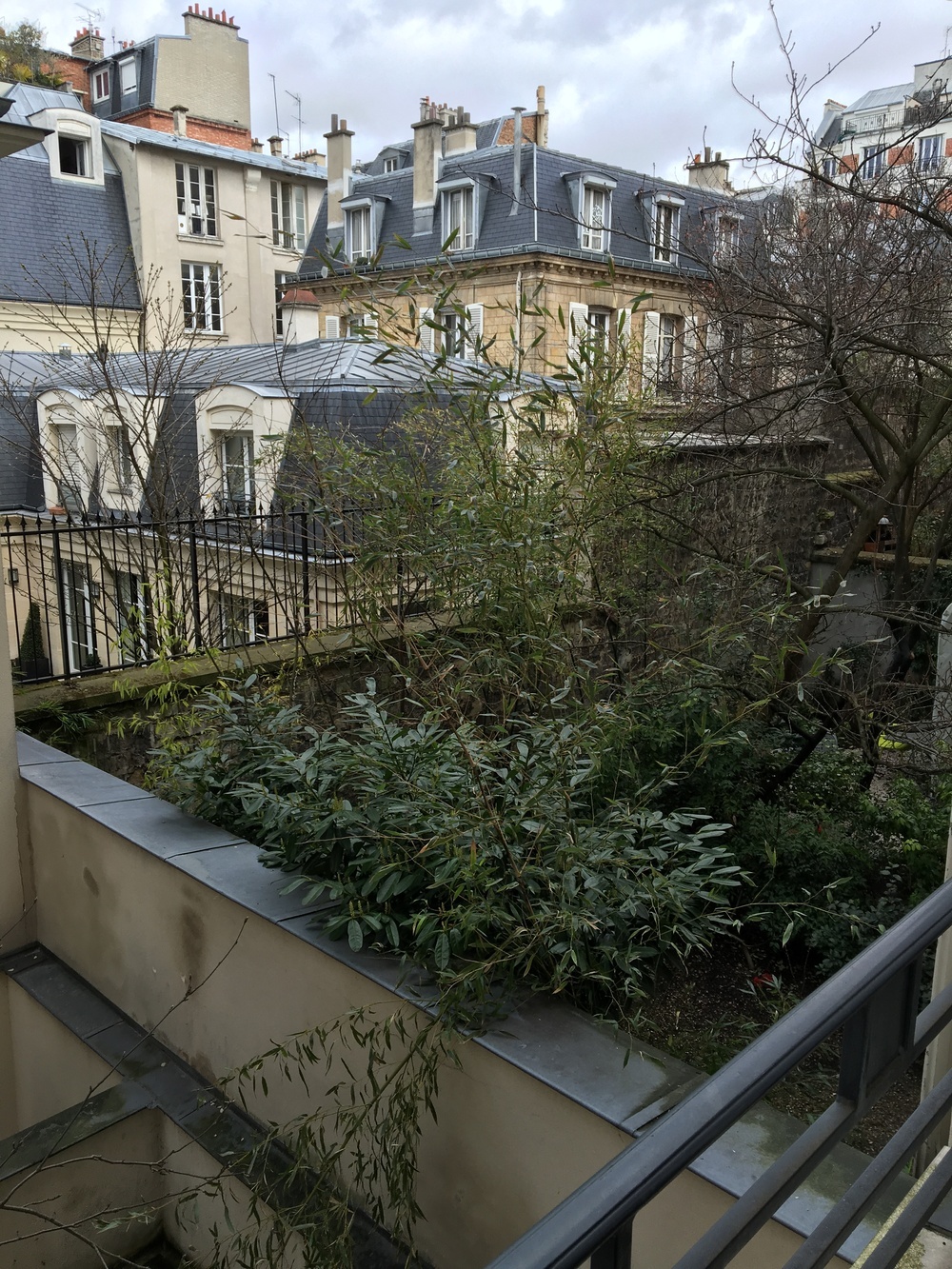 Property view 3