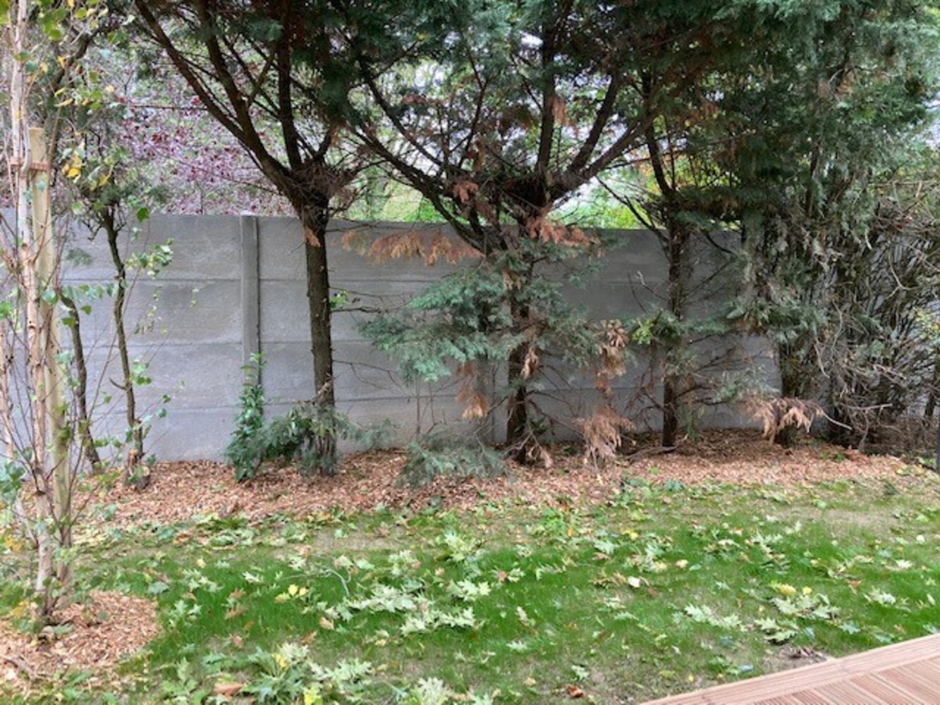Property view 3